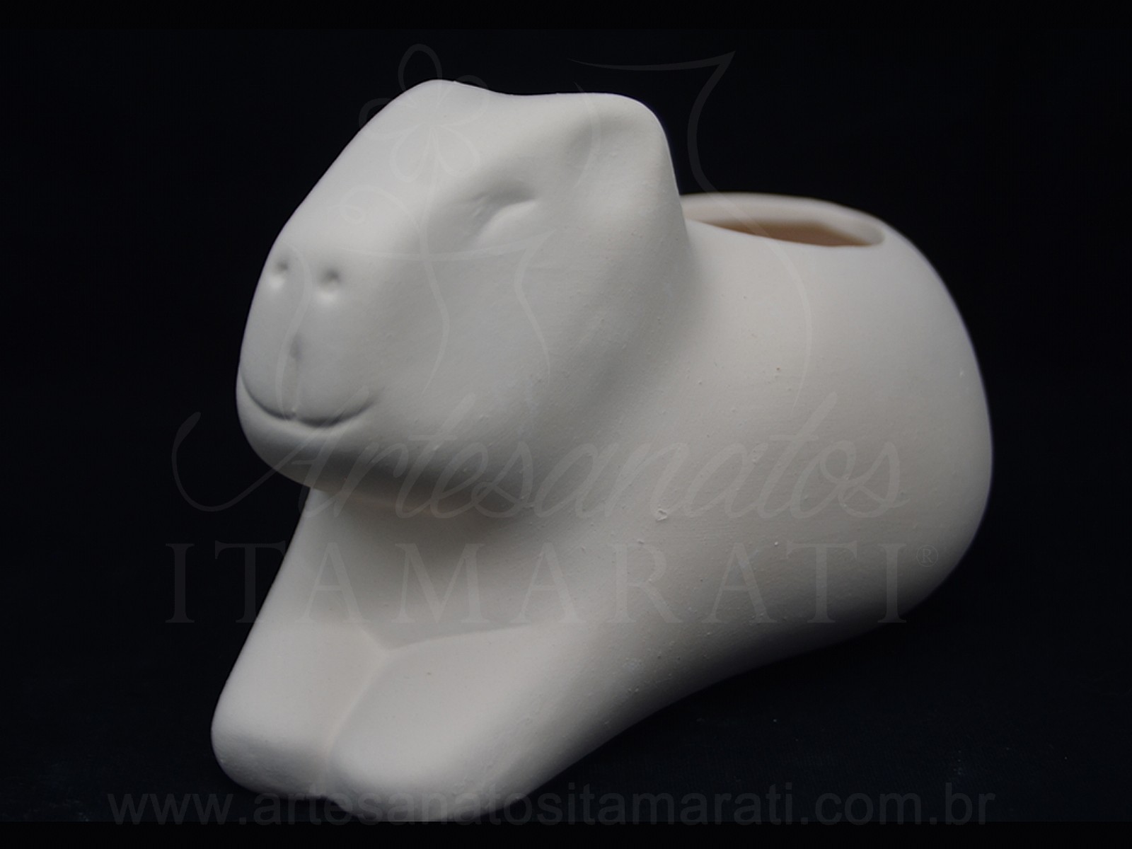 Capivara Deitada Suculenta